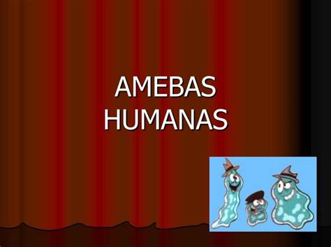 Amebas Humanas Medilove Udocz