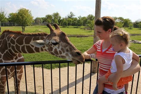 the Stowell's: Tanganyika Wildlife Park...