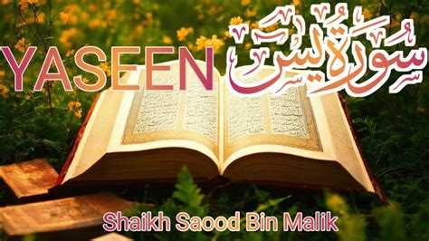 Surah Yasin Yaseen Full With Urdu Text Beautiful Recitation یس سورہ 36