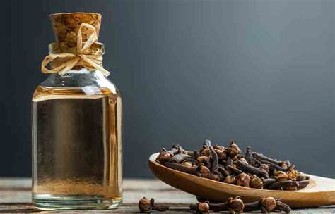 14 Benefits Of Clove Oil How To Use And Side Effects