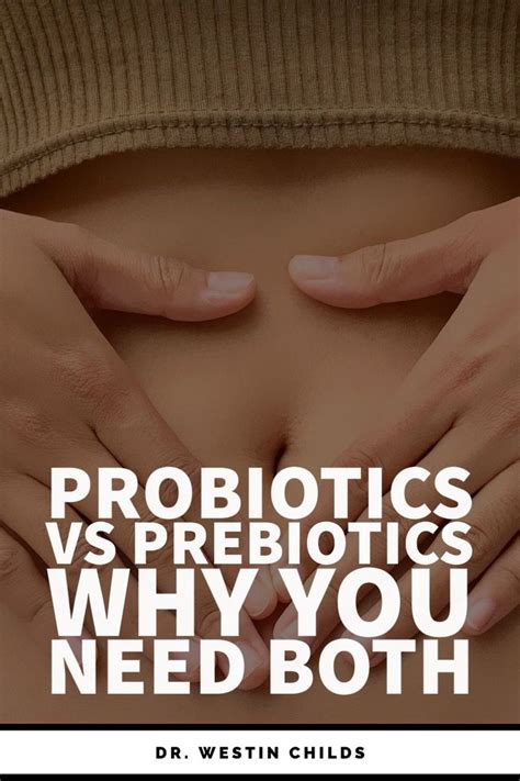 Prebiotics Vs Probiotics Why Both Are Essential