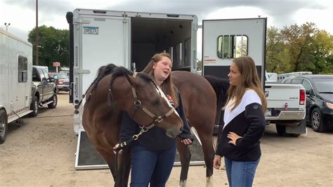 Biosecurity At Horse Shows And Events Youtube