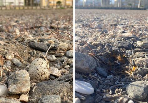 Costa De Granada Una Tragedia Medioambiental En Dos Fotos En La Playa