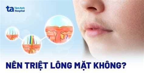 Tri T L Ng Bikini L G U V Nh C I M C A Ph Ng Ph P N Y