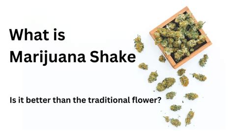 Marijuana Shake vs. Traditional Flower: Which is Better for You? | My ...