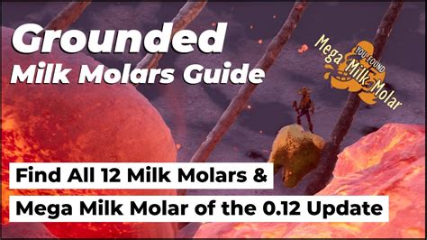 Grounded Where To Find All Milk Molars Of The Update Into