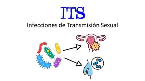 Infecciones De Transmision Sexual En Adulto Mayor