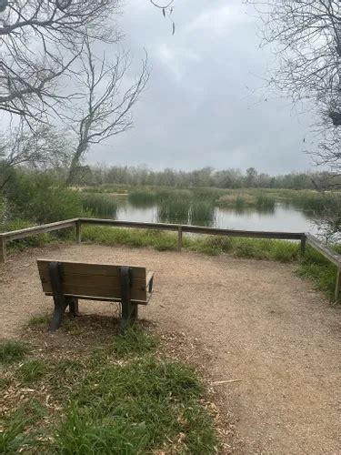 Best Lake Trails In Alamo Alltrails