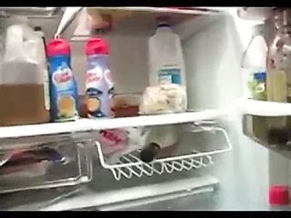 Tap Dat Azz Amateur Amateur Porn XHamster