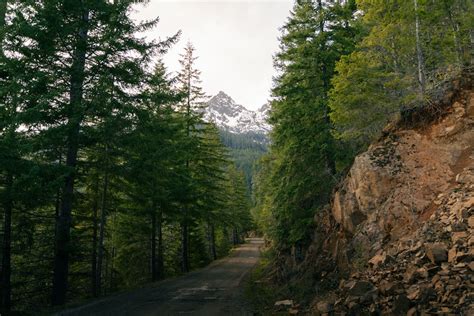 Guide to Exploring Lake Cushman: Hiking, Camping, & More! · Anna Tee