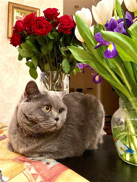 Бусинка. | Модная фотография на природе, Фото с привидениями ...