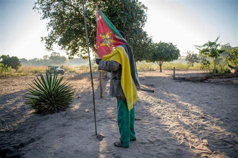 How the world’s largest lion relocation, from South Africa to Zimbabwe