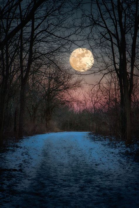 Full Moon Over Snowy Forest