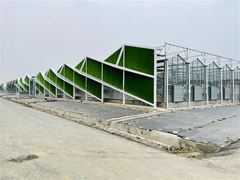 Glass greenhouse project in Canada