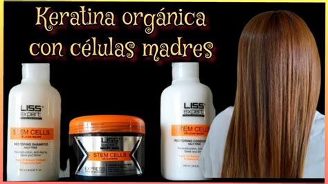 Keratina Org Nica Keratina Con C Lulas Madres Liss Expert Stem Cells