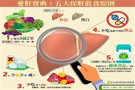 肝癌高居國人癌症死因的第二位 預防脂肪肝 保護小心肝 世界民報