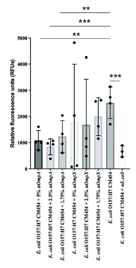 Adhesion Inhibition Assay Effect Of Anti Ompa And Anti Ompx On E Coli