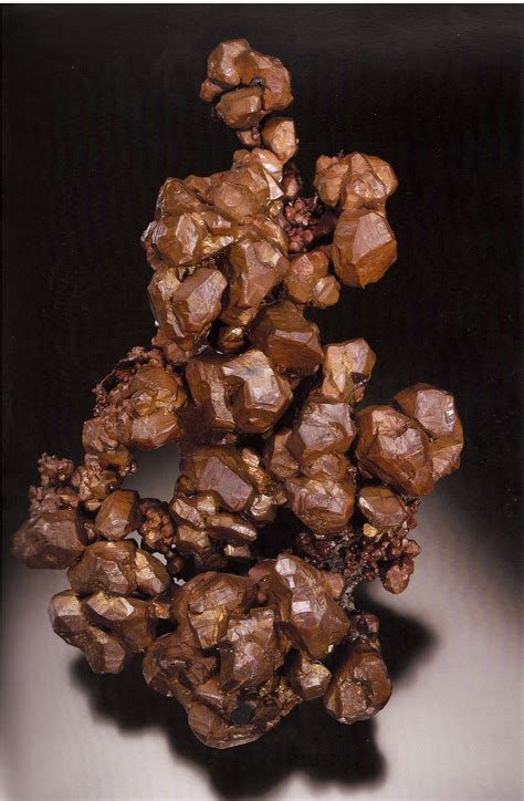 100 Years 100 Objects Copper Beyondbones