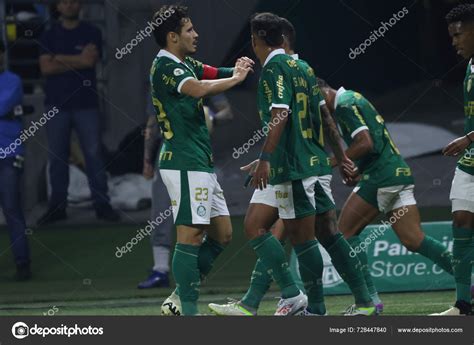 Sao Paulo Feria Brasileiro Palmeiras Junio Allianz Parque