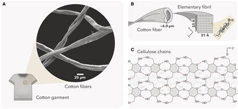 unlocking  potential  post consumer garments   source