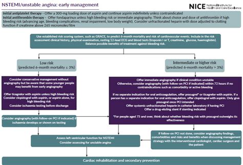 Management Of Unstable Angina Non STEMI Primary Care Notebook