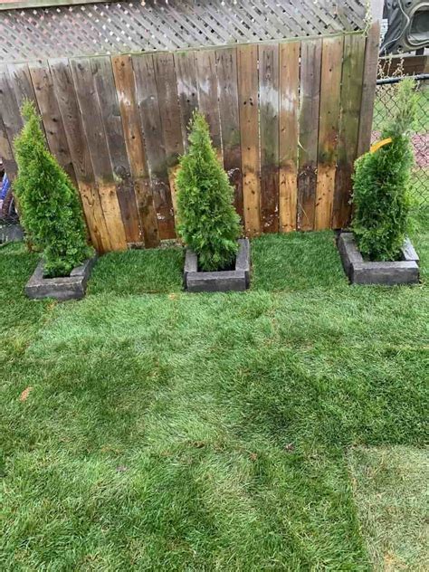 Sod Prices Near Me in Ontario | Cost of Sod | ⭐️ Over 100+ Projects!