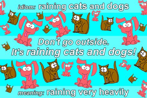 Idiom Raining Cats And Dogs Funky English