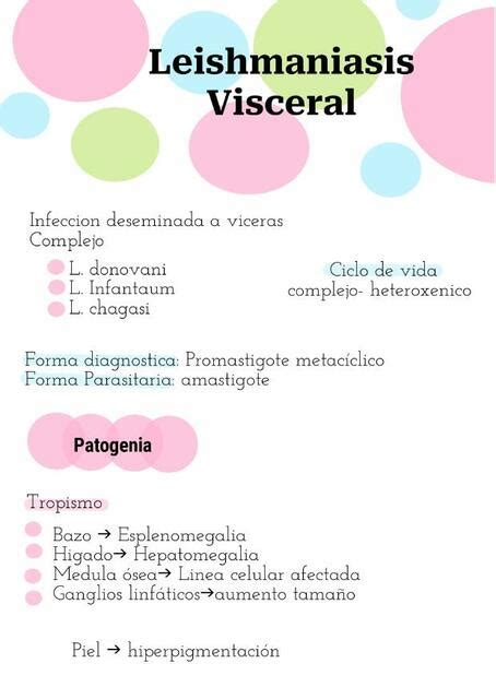 Leishmaniasis Visceral Edith Duarte Udocz