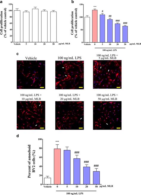 Mlb Suppresses Lps Induced Proliferation And Morphological Changes In