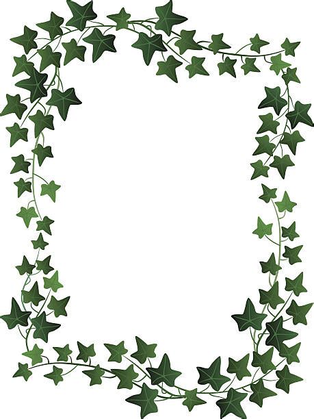 Royalty Free Ivy Border Backgrounds Clip Art Vector Images