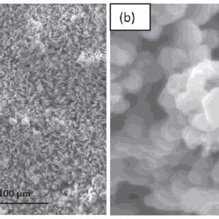 SEM Micrographs Of Mild Steel Surface After 15 Days Immersion In Blank