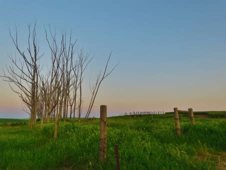 Fotos gratis paisaje árbol naturaleza césped al aire libre