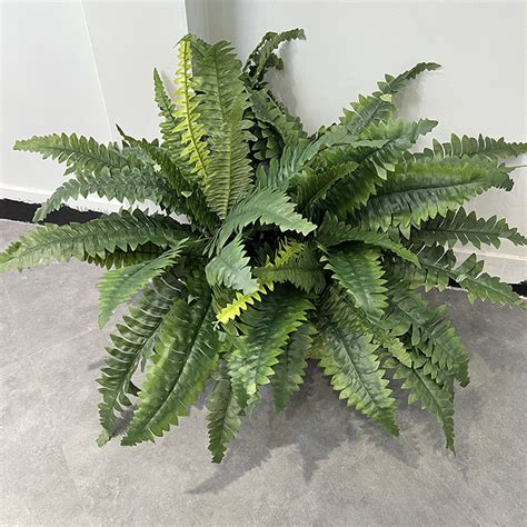 Buateil Artificial Fern Plant Realistic Non Withering No Watering