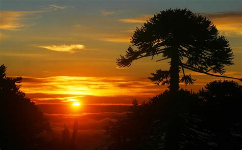 Fondos De Pantalla Luz De Sol Árboles Paisaje Puesta De Sol Naturaleza Cielo Nubes