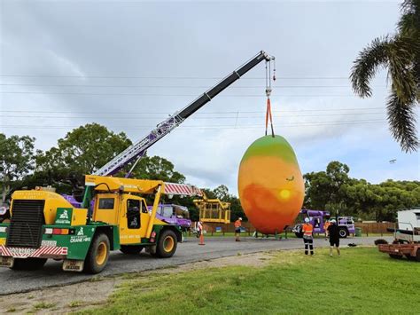 Bowen Big Mango - Mackay Whitsunday LIfe