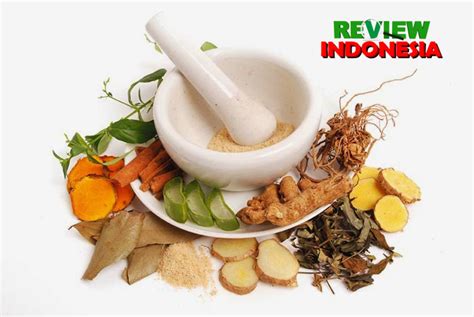 Manfaat Obat Tradisional Temu Lawak Dan Lidah Buaya Reviewindonesia Co Id