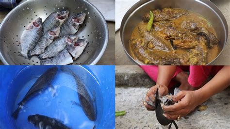 তেলাপিয়া মাছের তেল ঝাল Telapia Fish Curry Recipe Bengali Style