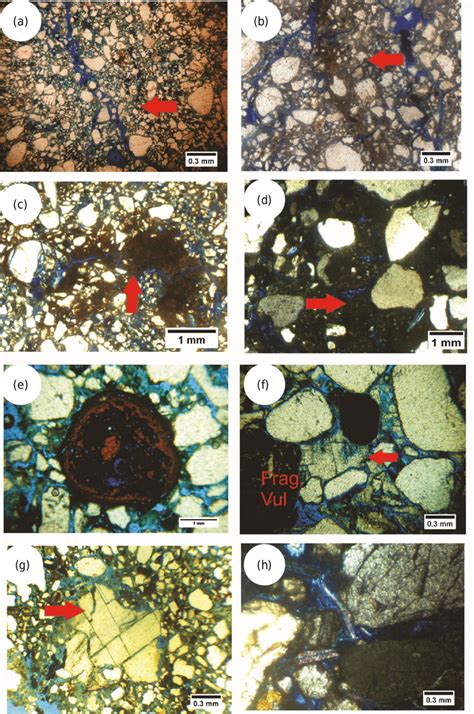 Micromorphological Features Of The Poorly Developed Pedotype A