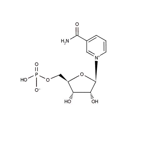 Nicotinamide Mononucleotide Cas Beta Nicotinamide