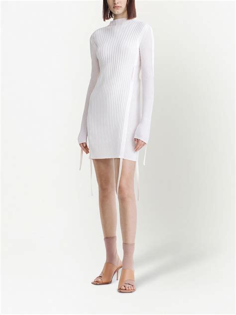 Dion Lee Gathered Utility Long Sleeve Dress Farfetch