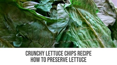 Crunchy Lettuce Chips Recipe How To Preserve Lettuce Youtube