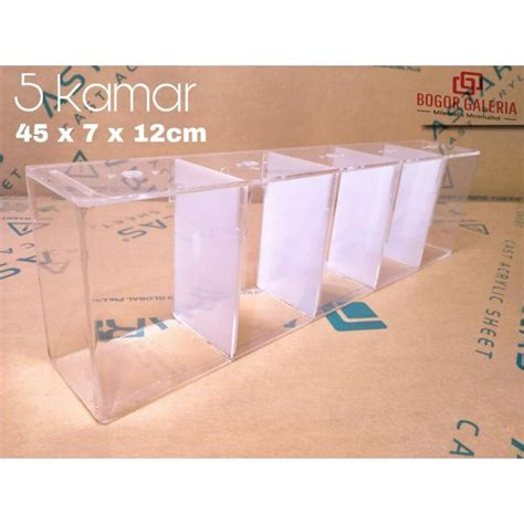 AQUARIUM SOLITER AKRILIK CUPANG SELFIE 5 KAMAR 45 X 7 X 12 2mm AKUARIUM