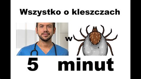 Wszystko O Kleszczach W Minut Youtube