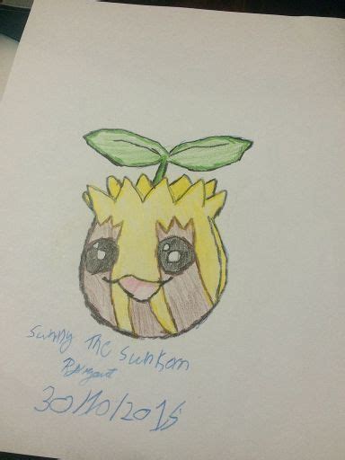 Sunkern Pokémon Amino