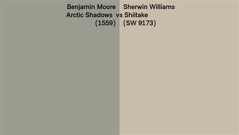 Benjamin Moore Arctic Shadows 1559 Vs Sherwin Williams Shiitake SW