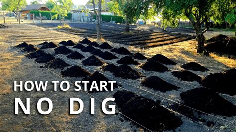 How To Make A No Dig Garden Bed Youtube