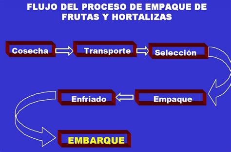 Operaciones De Cosecha Y Poscosecha De Frutas Y Hortalizas Blogacp