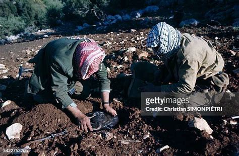 34 Palestinian Fedayeen Photos And High Res Pictures Getty Images