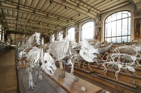 Mus Um National D Histoire Naturelle Mus Es E Arrondissement Paris