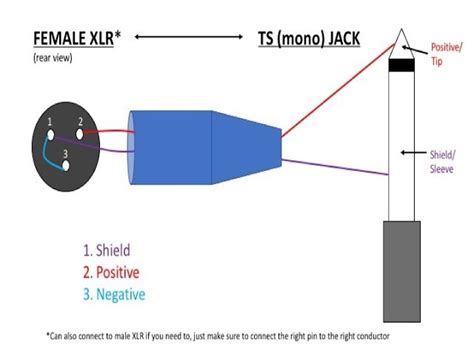 5 Pin Xlr Wiring Diagram